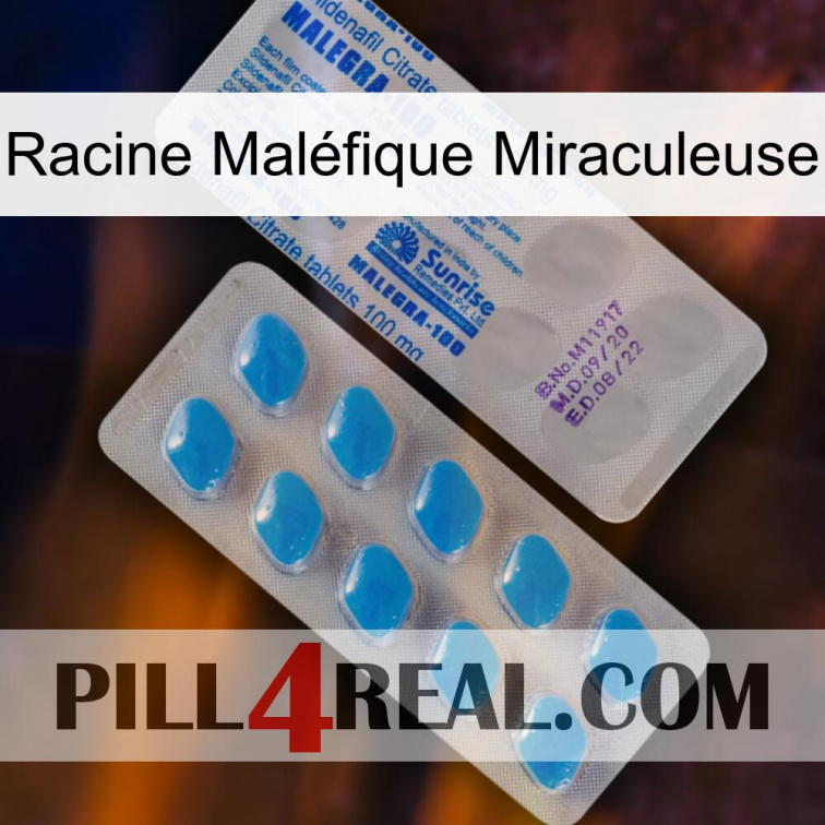 Racine Maléfique Miraculeuse new15